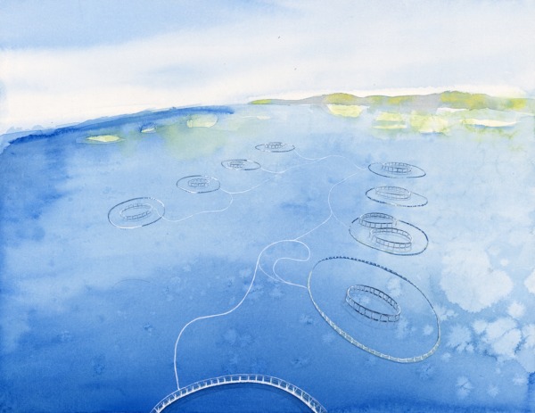 aquaculture1-600x463