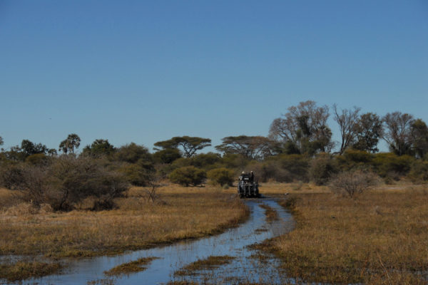 4x4