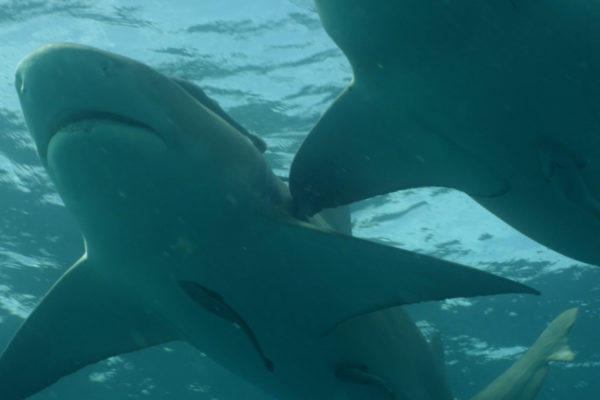 Production still 5
