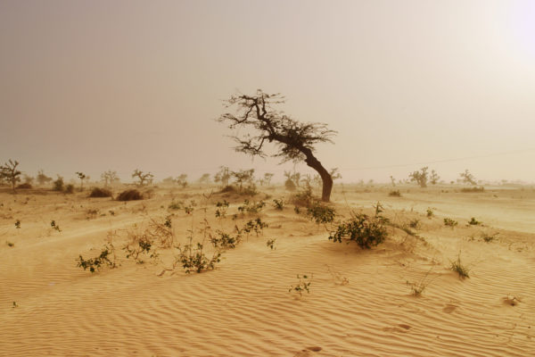nWave_Hurricane_Desert