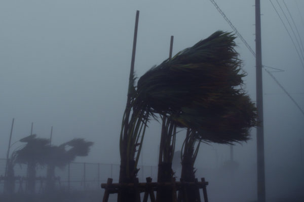 nWave_Hurricane_Wind1