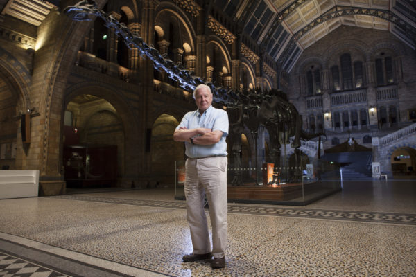 nWave_MuseumAlive_DA-Diplodocus2