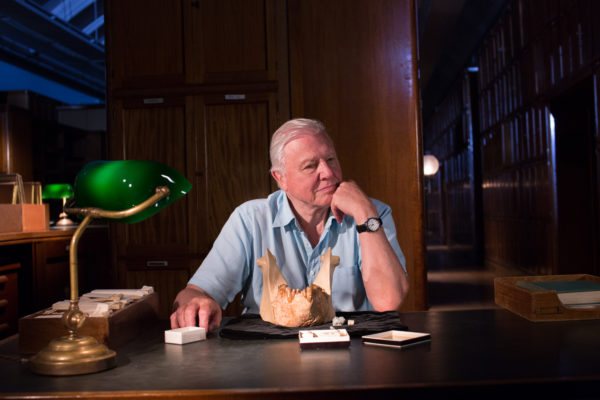 nWave_MuseumAlive_DavidAttenborough3