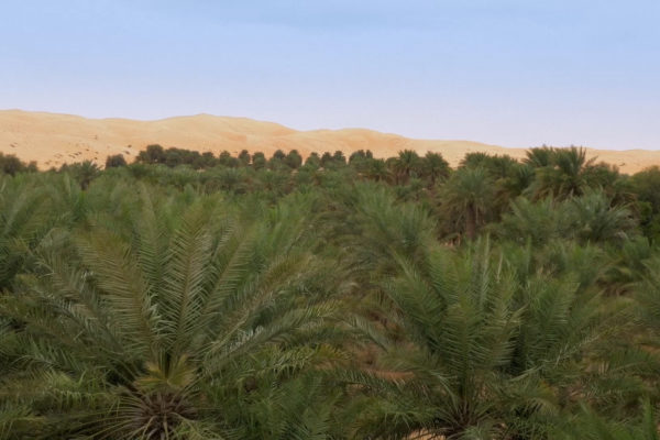nWave_SecretsOfTheDunes_Trailer.00_01_18_19.Still002