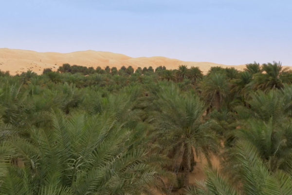 nWave_SecretsOfTheDunes_Trailer.00_01_20_18.Still008
